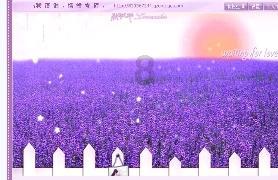 暴走小云